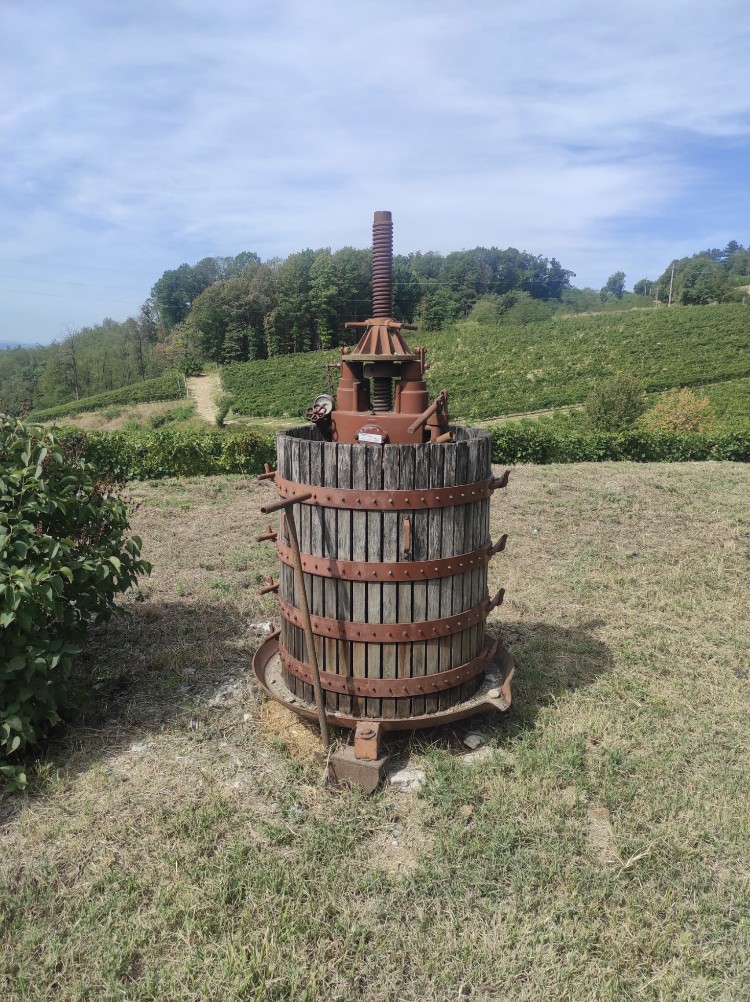 Antico torchio in legno tra i vigneti del Gaviese