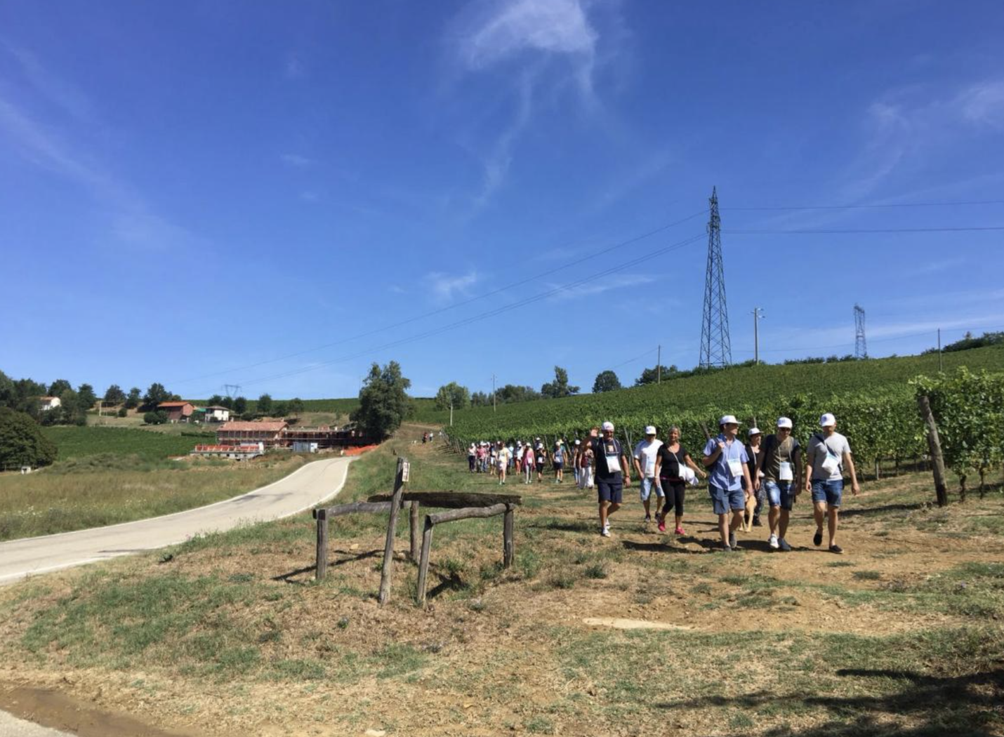 Camminatori lungo i filari di vigne durante la GaviLonga