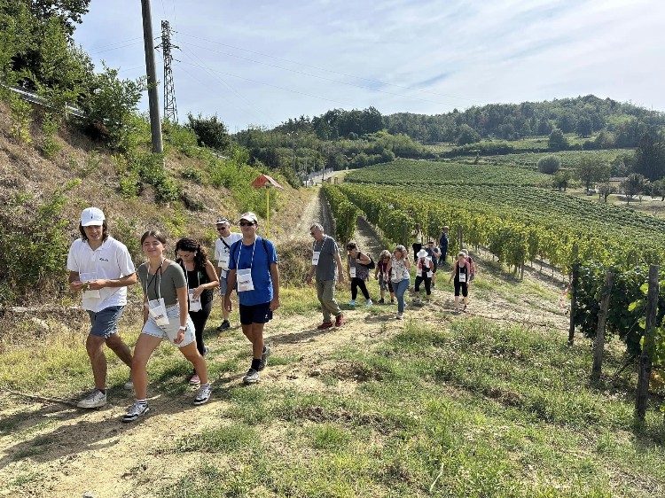 Partecipanti in cammino lungo i vigneti del Gavi DOCG